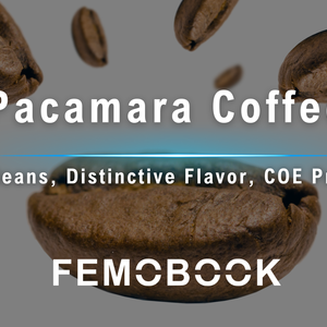 Pacamara Coffee: Flavor Profile, Origin, and Growing Regions Explained