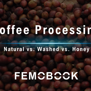 The Ultimate Guide to Coffee Processing Methods: Natural, Washed, Honey, and Fermentation Styles