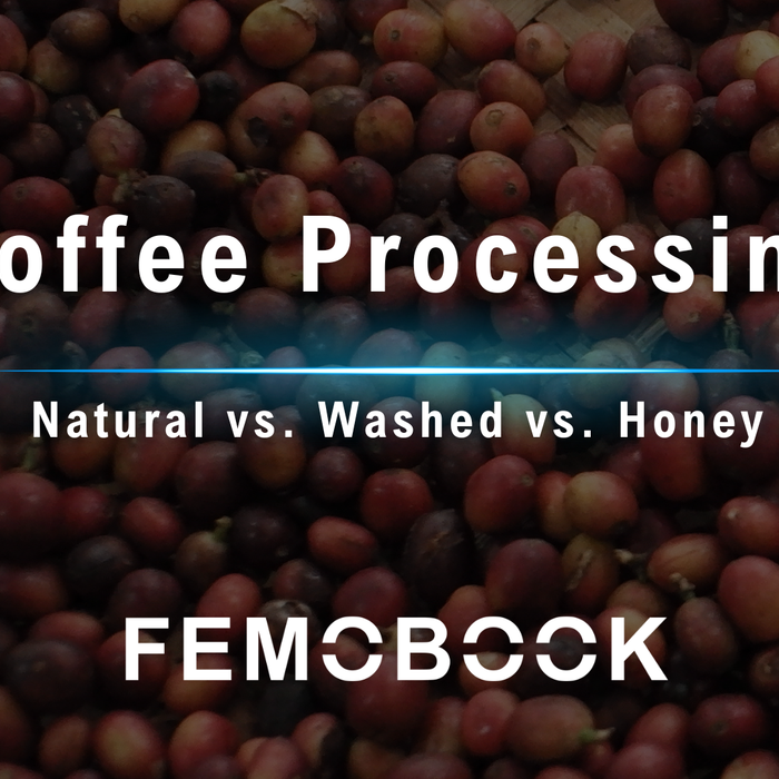 The Ultimate Guide to Coffee Processing Methods: Natural, Washed, Honey, and Fermentation Styles
