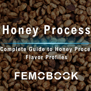 What Is Honey Process Coffee?A Complete Guide to Honey Process Flavor Profiles