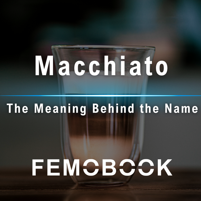 Macchiato vs Latte: What the Name Means and How the Drinks Differ
