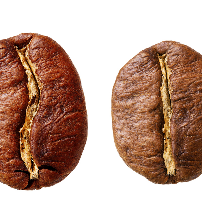 The 3 Main Types of Coffee Beans: Arabica, Robusta & Liberica