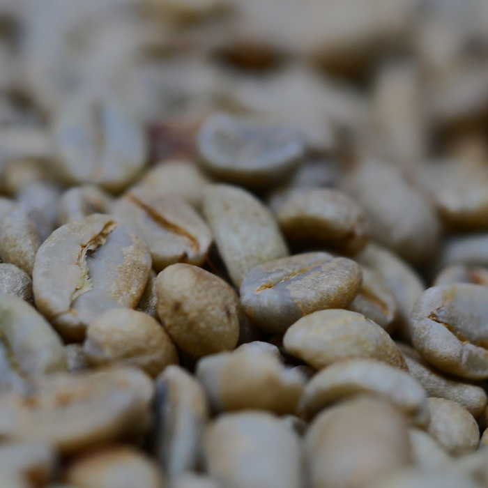 The Ultimate Guide to Arabica Coffee Varieties: Geisha, Bourbon, Heirloom & More