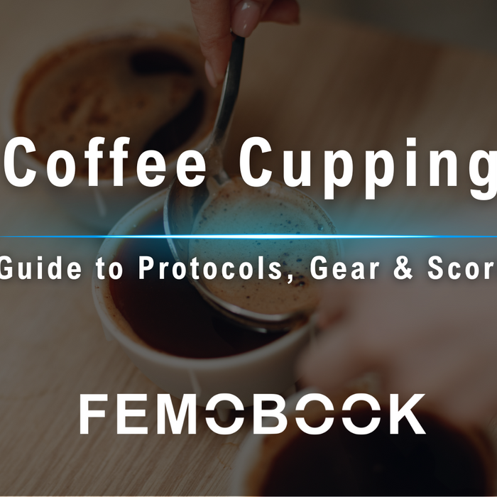 Coffee Cupping Guide: Protocols, Gear & Scoring