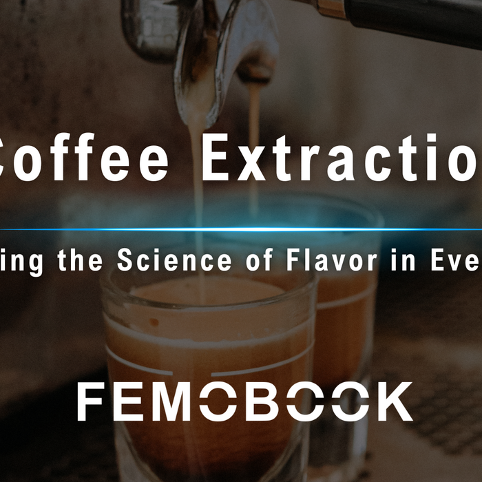 How Coffee Extraction Works — A Guide to Brewing Your Perfect Cup