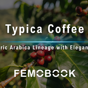 Typica Coffee Guide: Origin, Flavor Profile, and Growing Regions